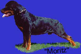 Moritz vom Moritzberg