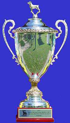 The Mortiz Cup