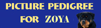 Click here to view Zoya's Pictorial Pedigree